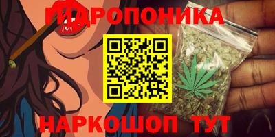 мяу мяу мука Малгобек