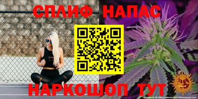 дмт Можайск