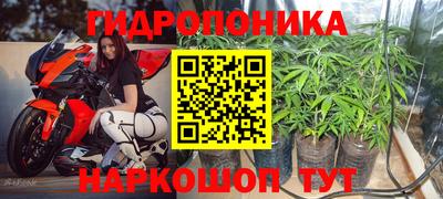 дмт Можайск