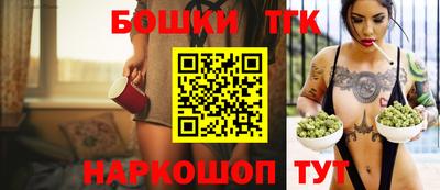 дмт Можайск