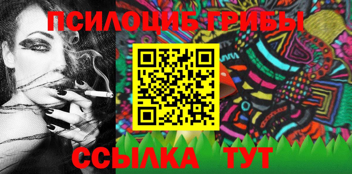 Галлюциногенные грибы Psilocybe Северодвинск